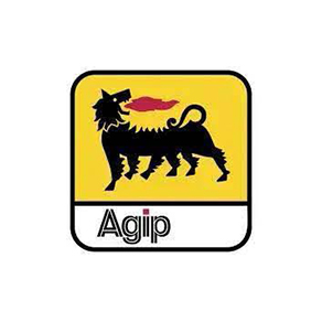 Nigerian Agip Energy