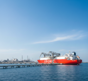 Gemini Generated Image Vxvokzvxvokzvxvo E1768984610448 300x274