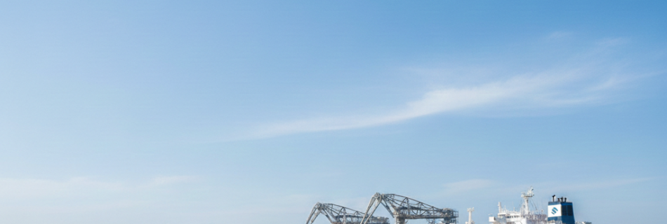 Gemini Generated Image Vxvokzvxvokzvxvo E1768984610448 950x320